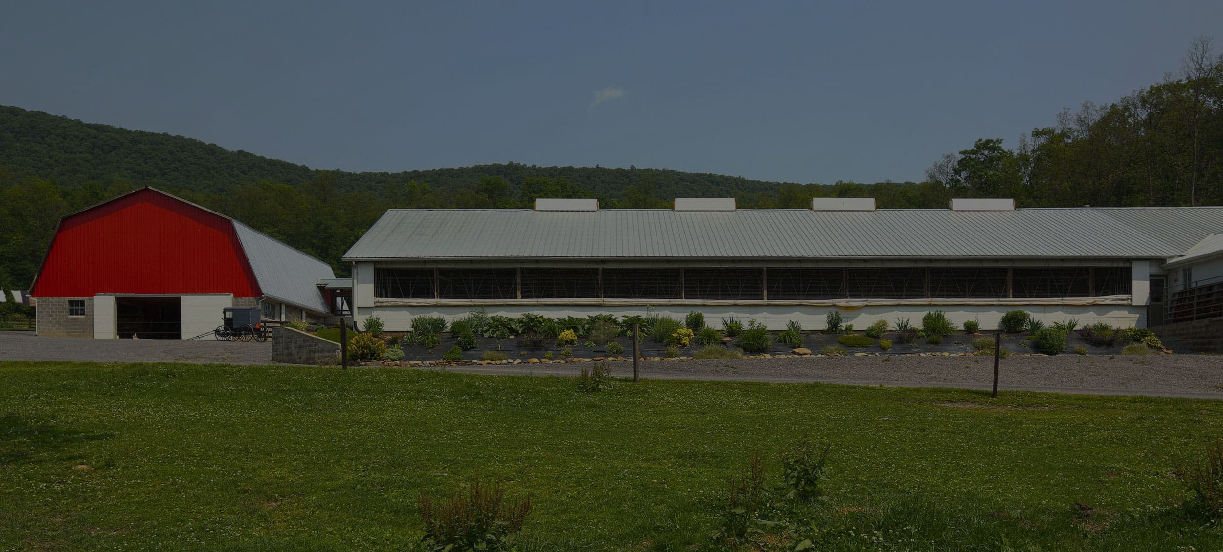 Veal Barn landscape darkened