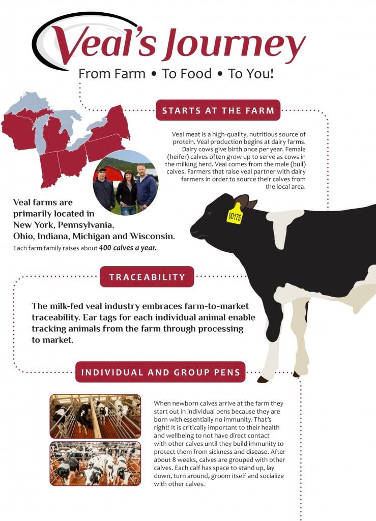 Infographic educating about where veal comes from, how it is raised.